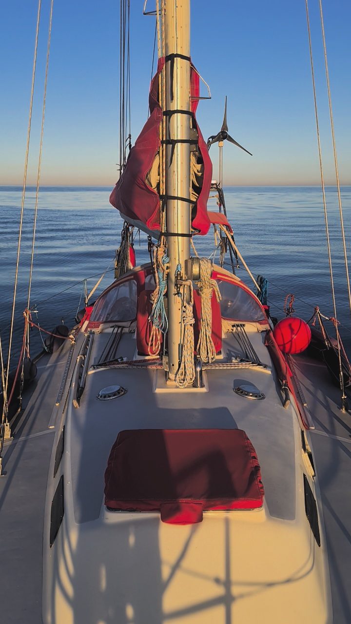 Vive la experiencia de navegar a vela en la zona del estrecho de gibraltar y ver delfines.